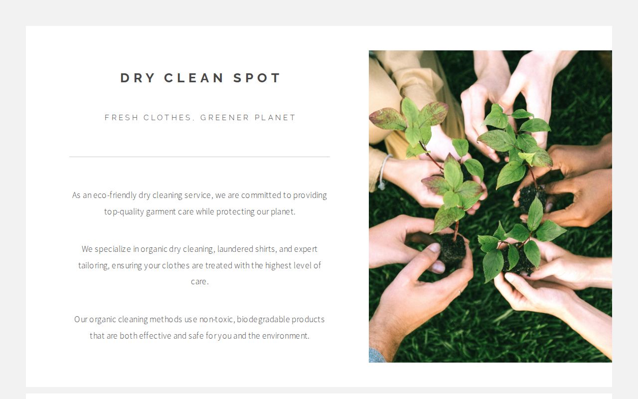 Dry Clean Spot photo 1
